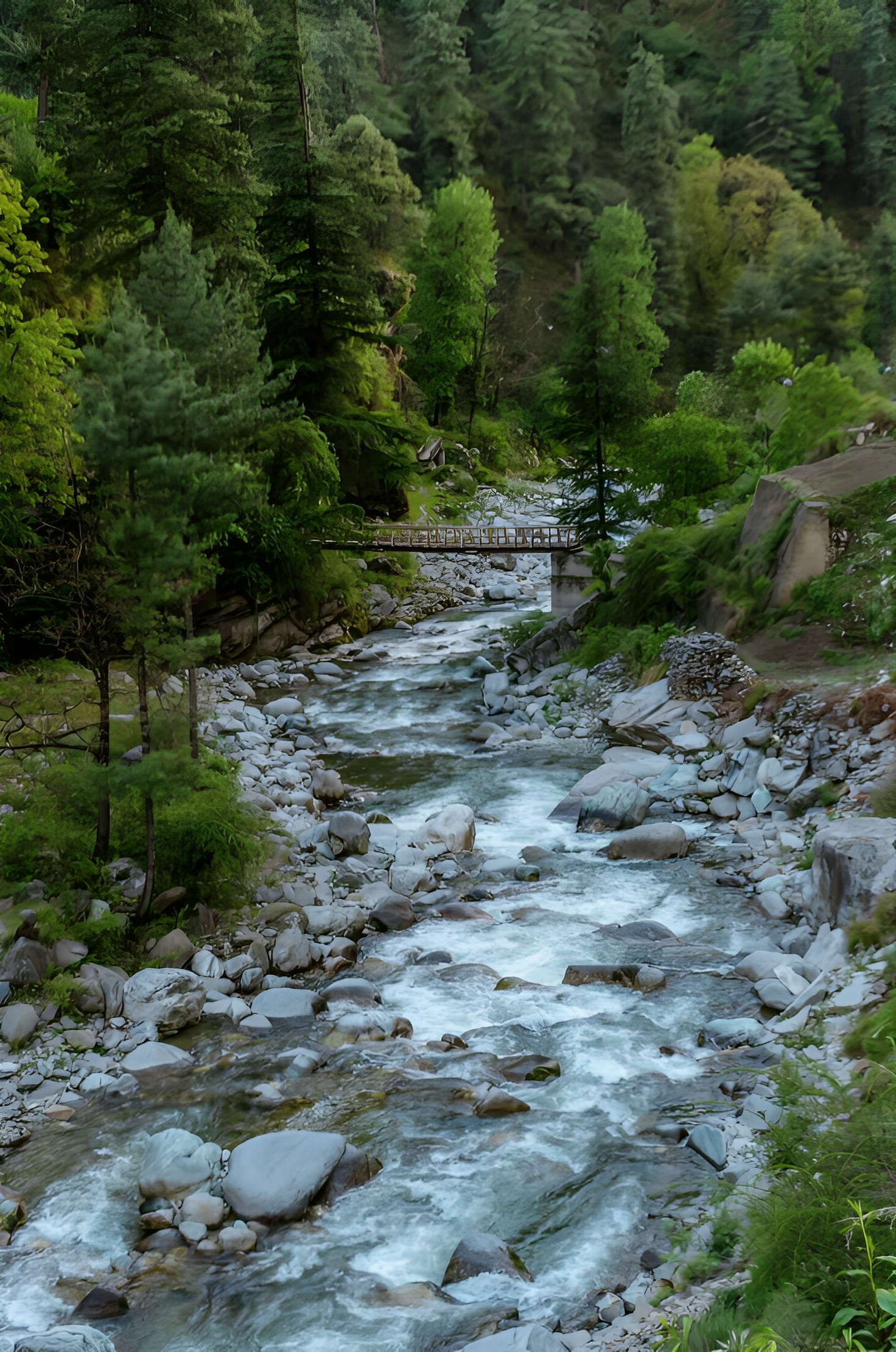 ‘Dolce Far Niente’ in Tirthan Valley